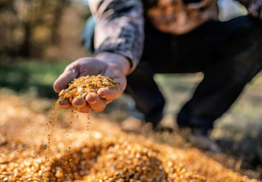 Shop Attractant Mix Image